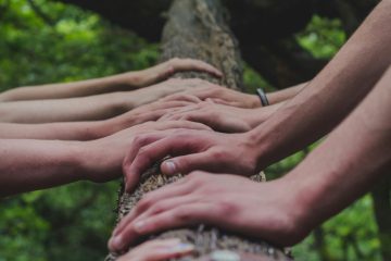 grupo de personas tomadas de la mano en la cima de un arbol