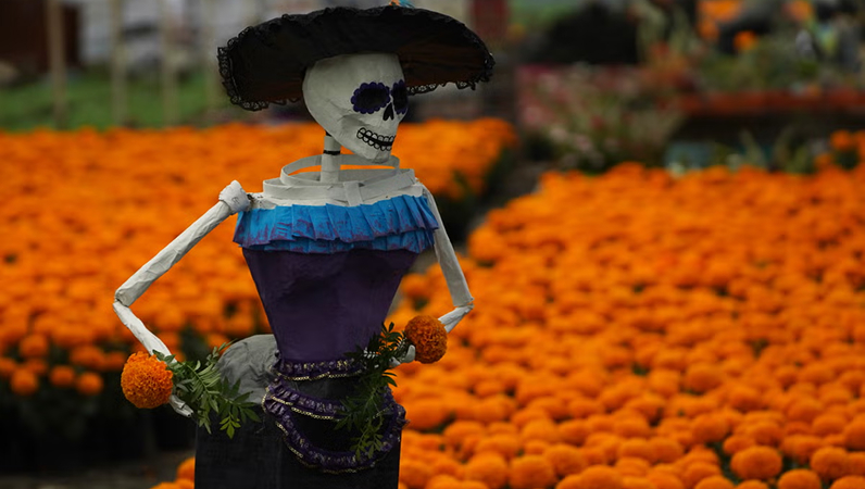 &#8220;Día de los Muertos: Un Puente de Amor y Recuerdo desde el Otro Lado&#8221;